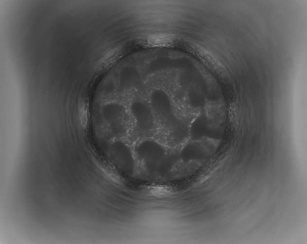 X0000111460741200908031339