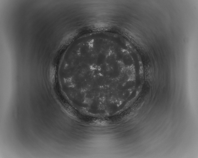 X0000111460742200908031339