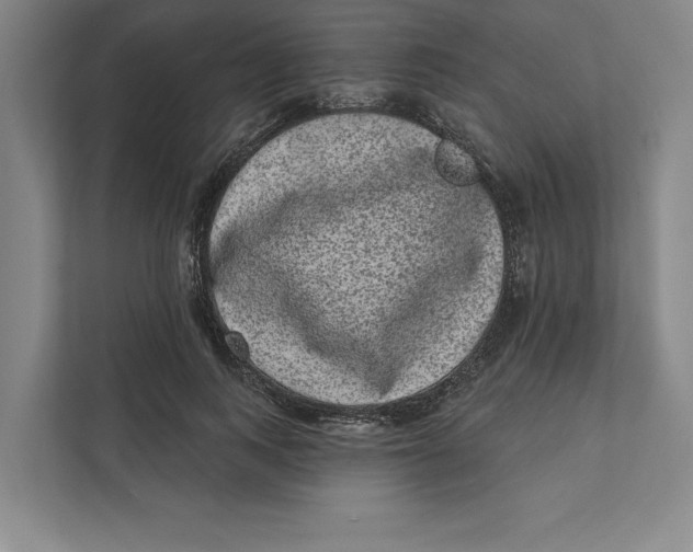 X0000111460743200908031339