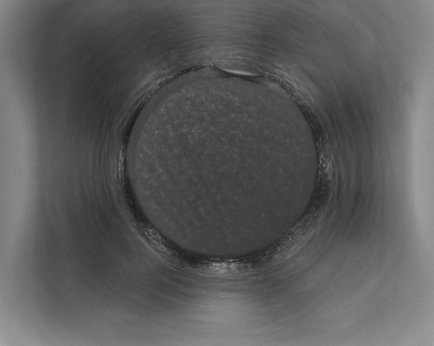 X0000111460744200908031339