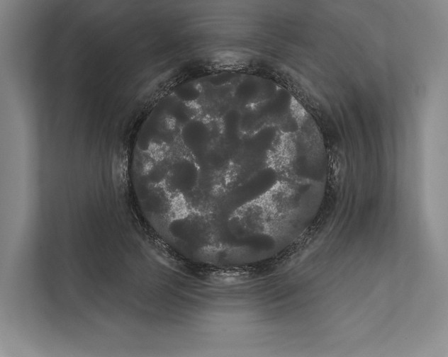 X0000111460745200908031339