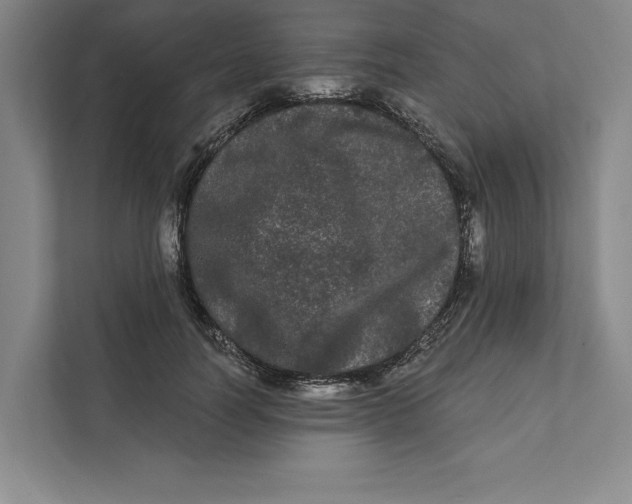 X0000111460746200908031339