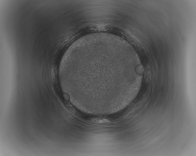 X0000111460747200908031339