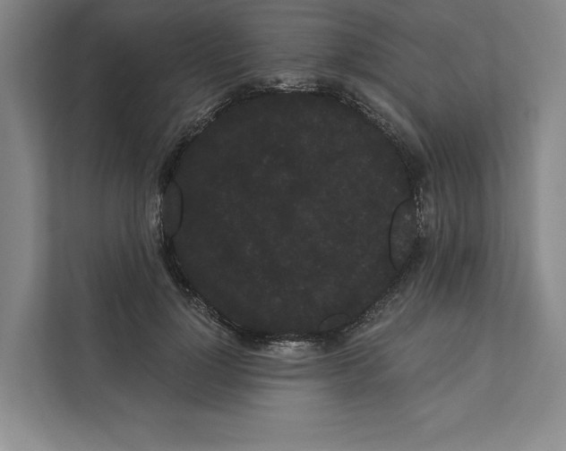 X0000111460748200908031339