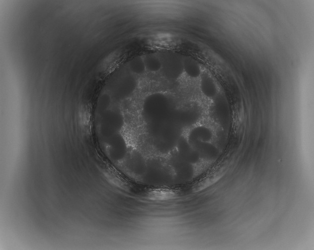 X0000111460749200908031339