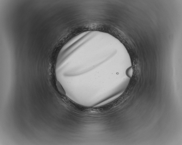X0000111460750200908031339