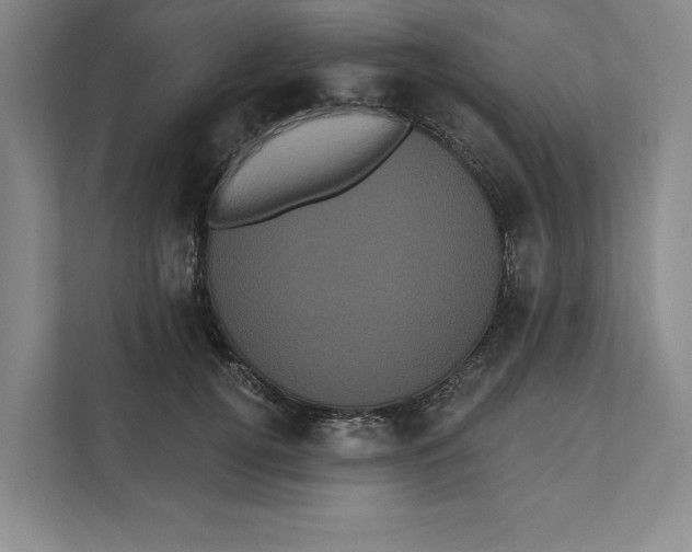 X0000111460752200908031339