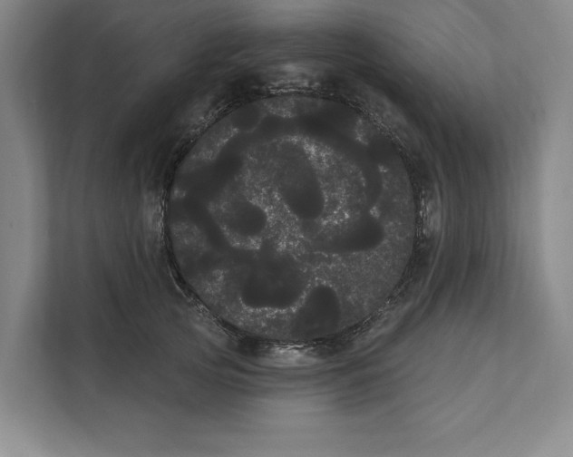 X0000111460753200908031339