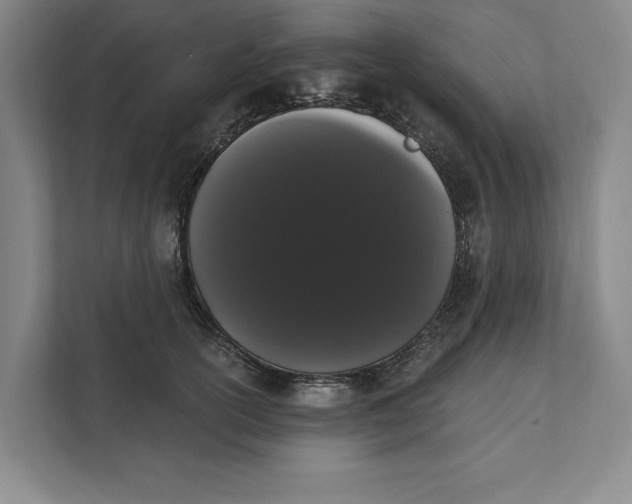 X0000111460754200908031339