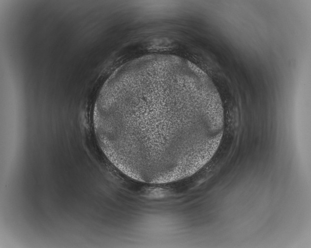 X0000111460755200908031339