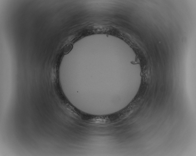 X0000111460756200908031339