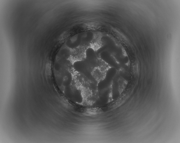 X0000111460757200908031339
