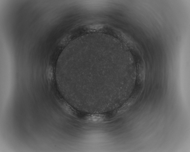 X0000111460758200908031339