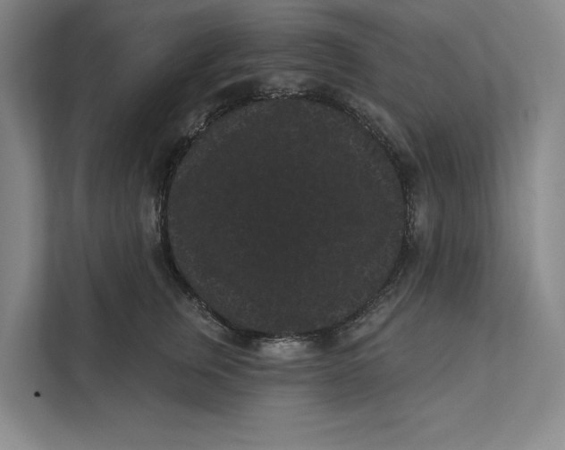 X0000111460759200908031339