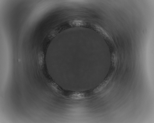 X0000111460760200908031339
