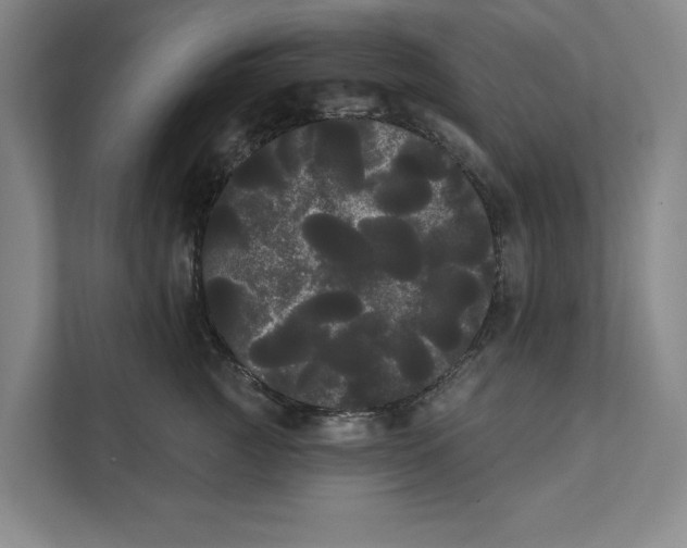 X0000111460761200908031339