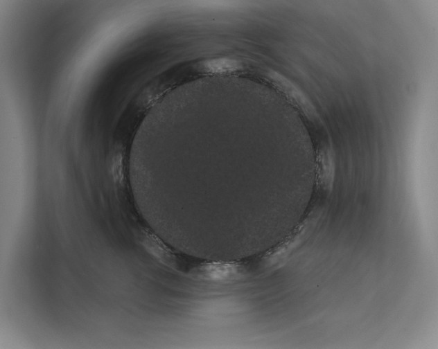X0000111460762200908031339