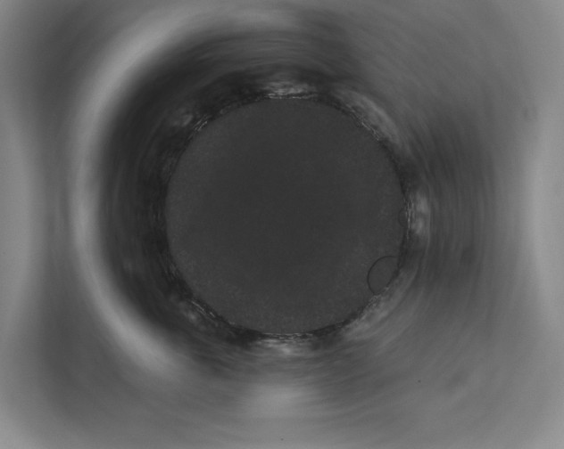 X0000111460763200908031339