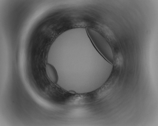 X0000111460764200908031339