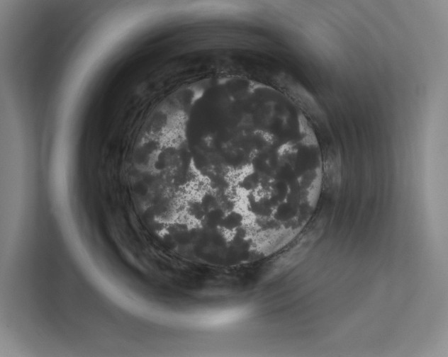 X0000111460765200908031339