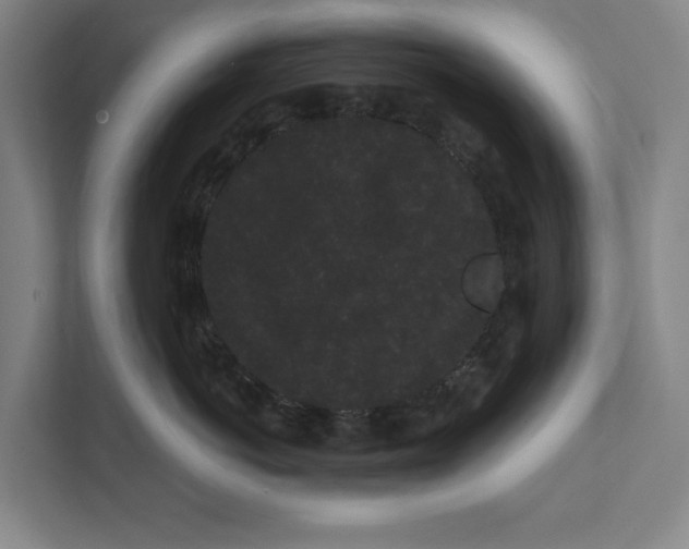 X0000111460766200908031339