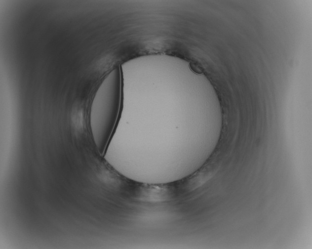 X0000111460768200908031340