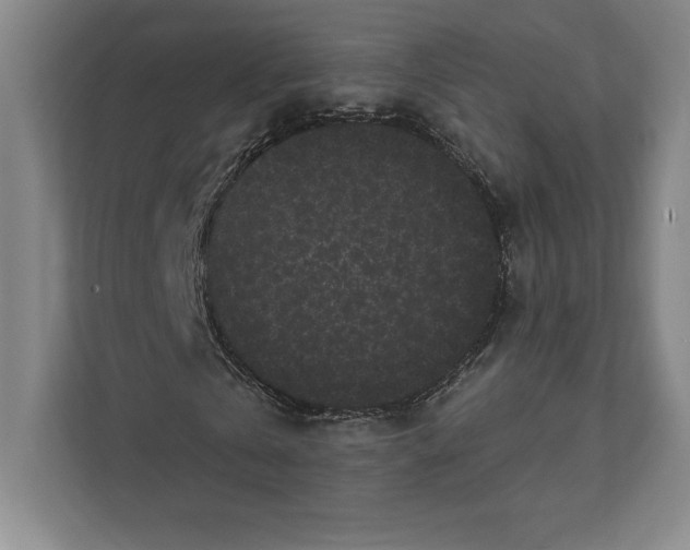 X0000111460769200908031339