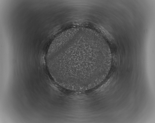 X0000111460770200908031339