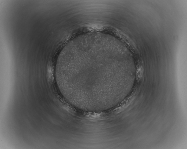 X0000111460772200908031339