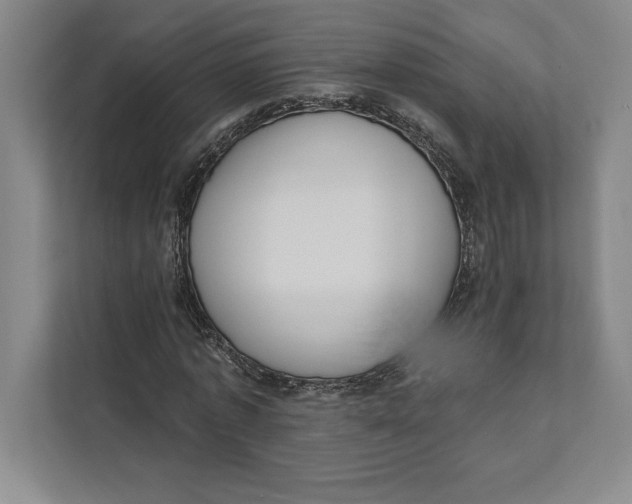 X0000111460773200908031339