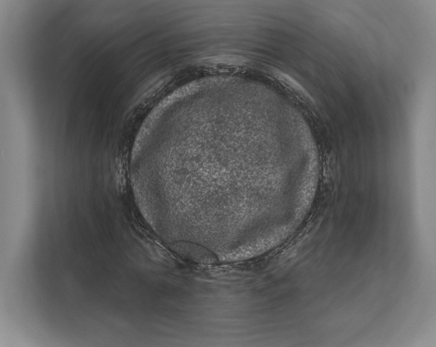 X0000111460774200908031339