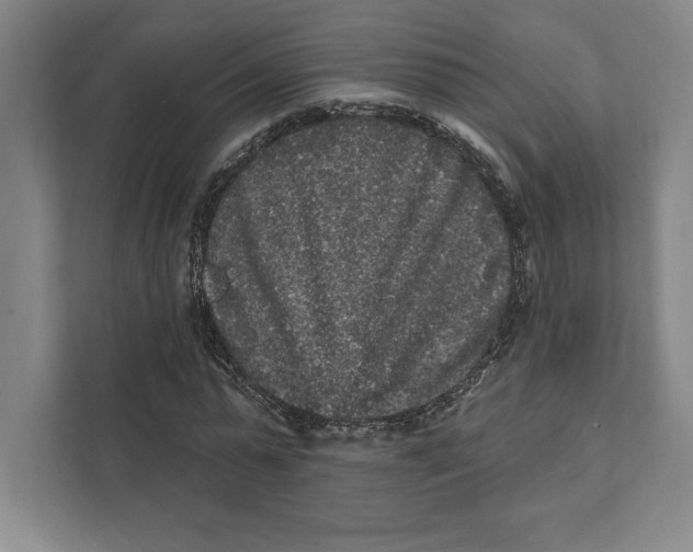 X0000111460775200908031339