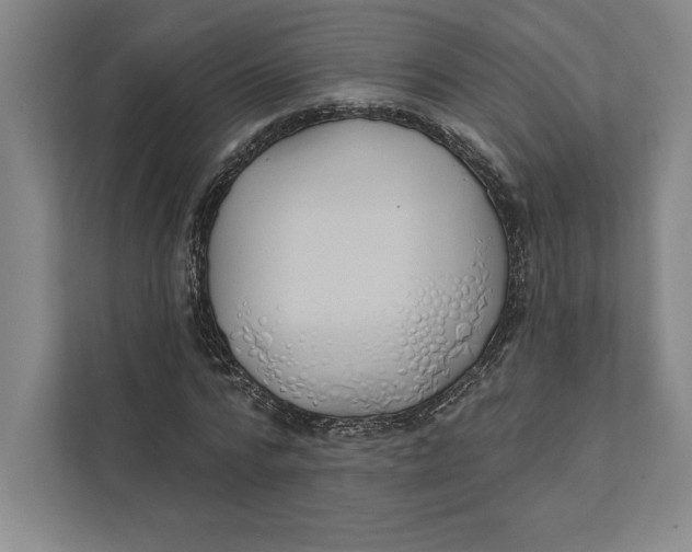 X0000111460776200908031339