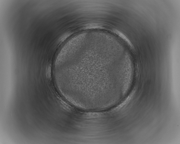 X0000111460777200908031339