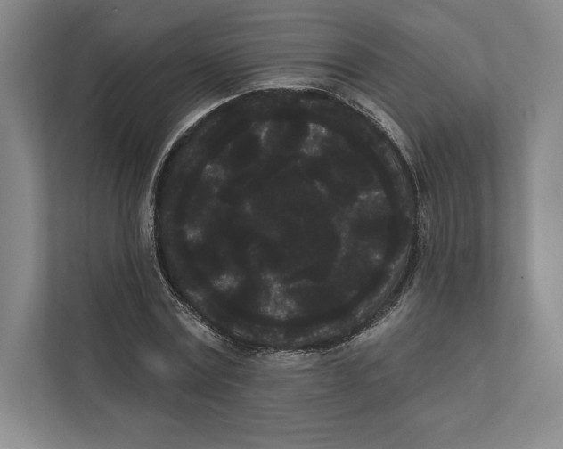 X0000111460779200908031339