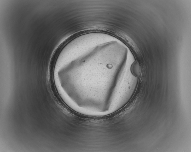 X0000111460780200908031339