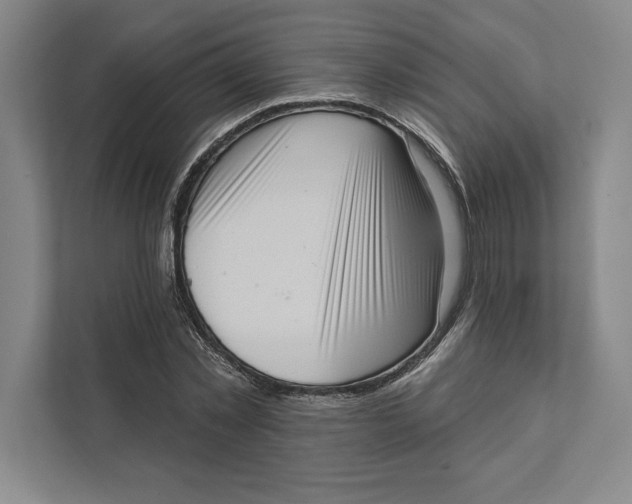 X0000111460781200908031339