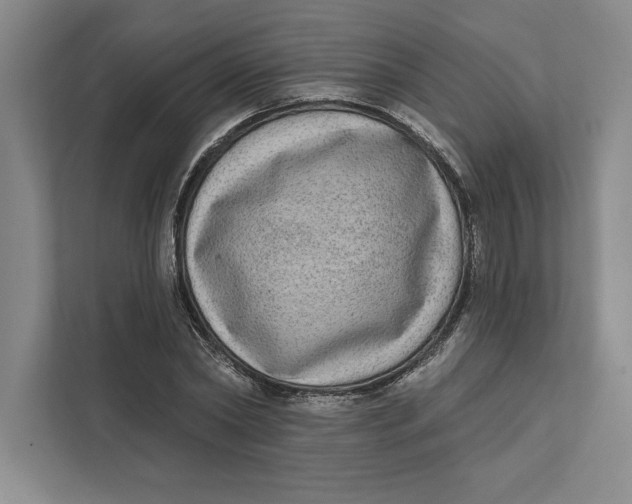 X0000111460782200908031339