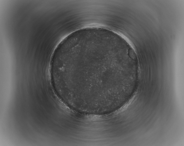 X0000111460783200908031339