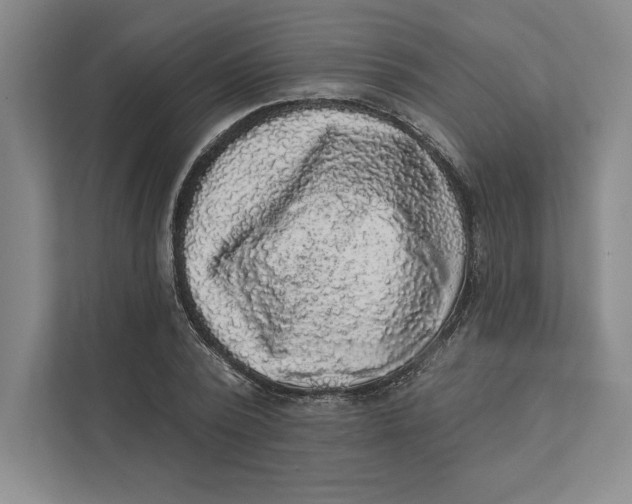 X0000111460784200908031339