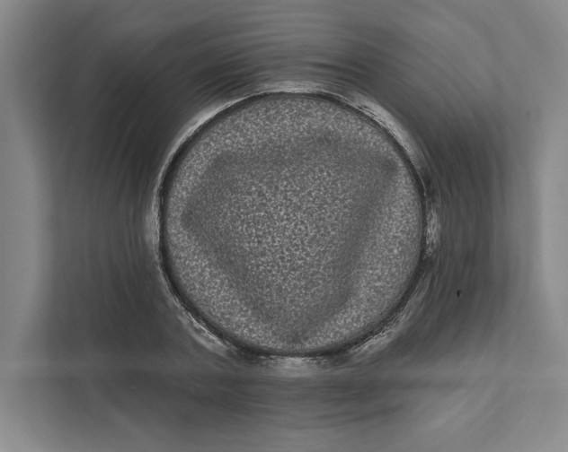 X0000111460787200908031338