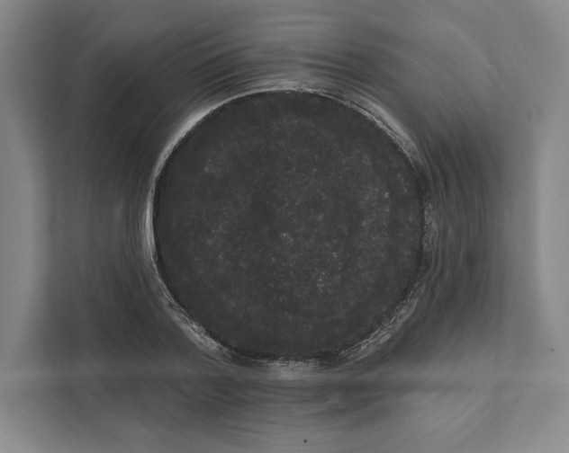 X0000111460788200908031338