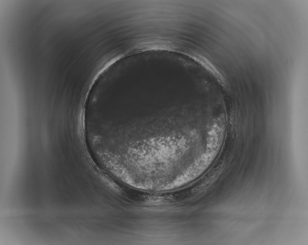 X0000111460790200908031338