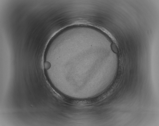 X0000111460791200908031338