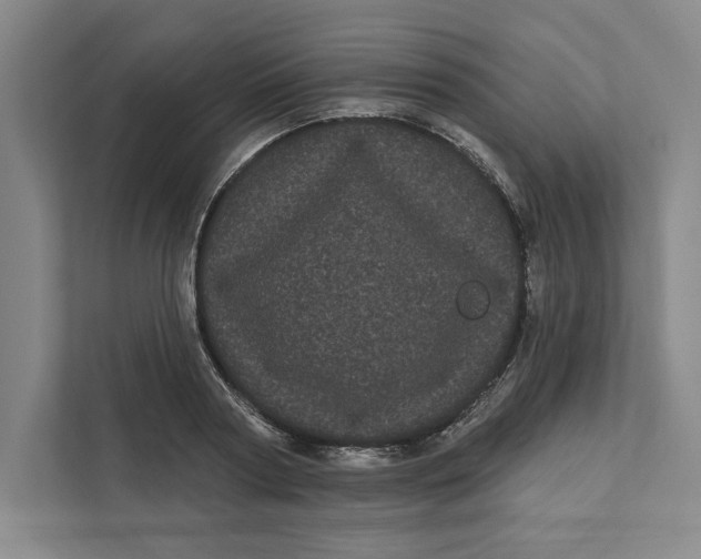 X0000111460794200908031338