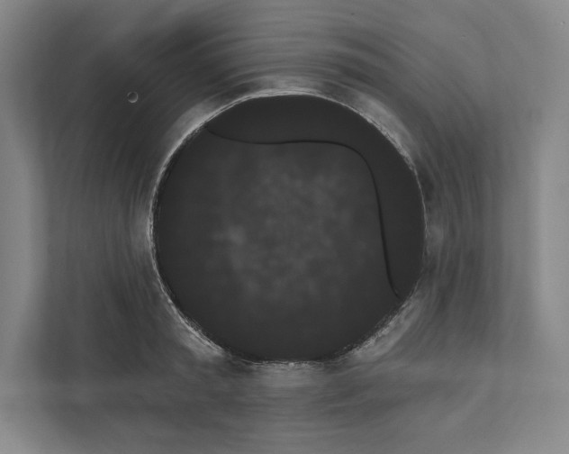 X0000111460797200908031338