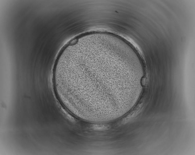 X0000111460799200908031338