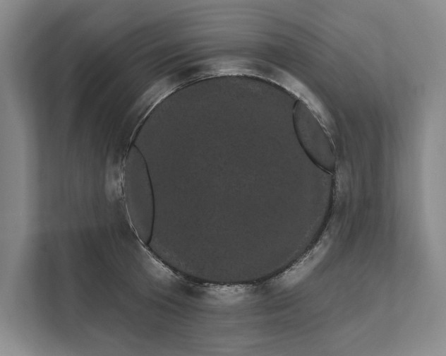 X0000111460801200908031338