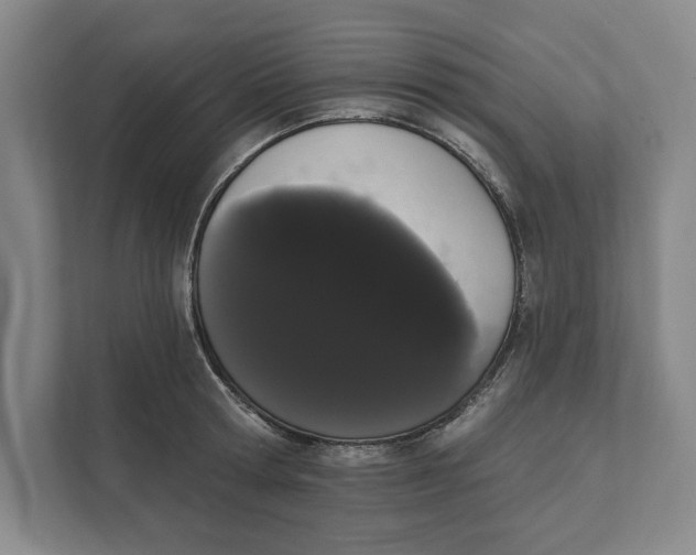 X0000111460802200908031338
