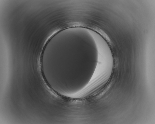 X0000111460806200908031338